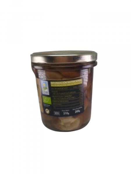 SETA SHITAKE ECO 12*310 ML