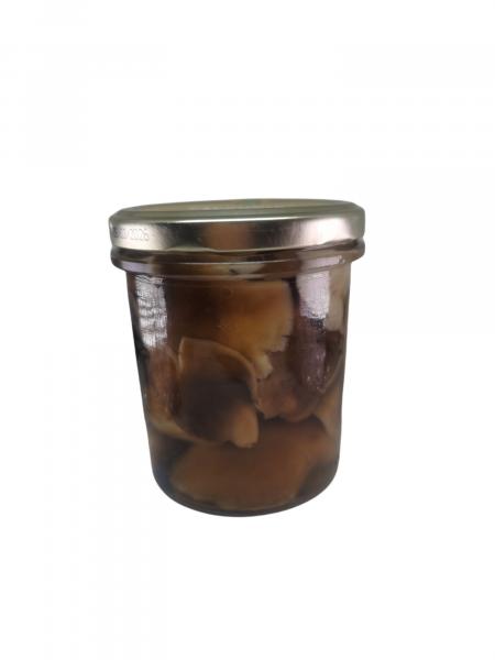 SETA SHITAKE ECO 12*310 ML