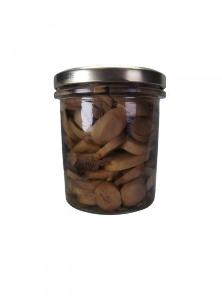 CHAMPIÃ‘ON ECO LAMINADO 12*310ML