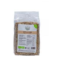 LENTEJA VERDE 15*500 GR
