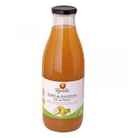 ZUMO MANZANA ECO 6*1 L