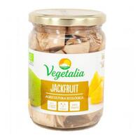 JACKFRUIT VEGETALIA ECO 6*500 GR