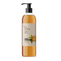 CHAMPU MANDARINA 6*500 ML ENERGIZANTE