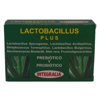 LACTOBACILLUS PLUS 60 CAPSULAS